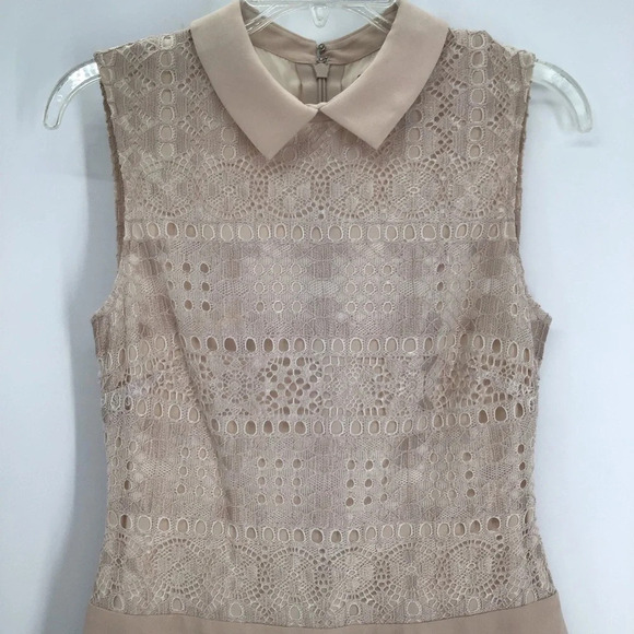 BCBGMAXAZARIA Marsha Delicate Lace Drop Waist Pan Collar Champagne Size 2 - Picture 4 of 9